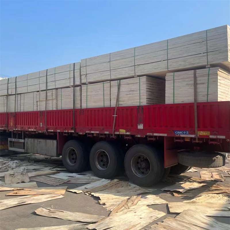 兴文县探寻会东县进仓物流的多元运输奥秘